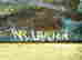 item-114168502=4