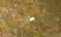 item-114168503=16