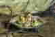 item-114168503=7