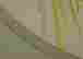 item-114168504=13