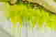 item-114168504=7
