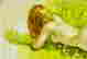 item-114168504=8