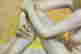 item-114168505=7