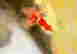 item-114168505=8