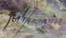 item-114168654=4