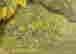 item-114168710=4