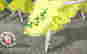 item-114168717=8