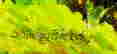 item-114168861=3