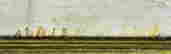 item-114168862=4