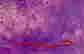 item-118716645=4