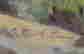 item-118716949=4