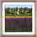 item-118717046=3