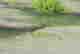 item-118717068=3