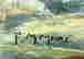 item-120118151=4