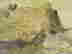 item-122444001=4
