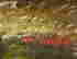 item-124595422=4