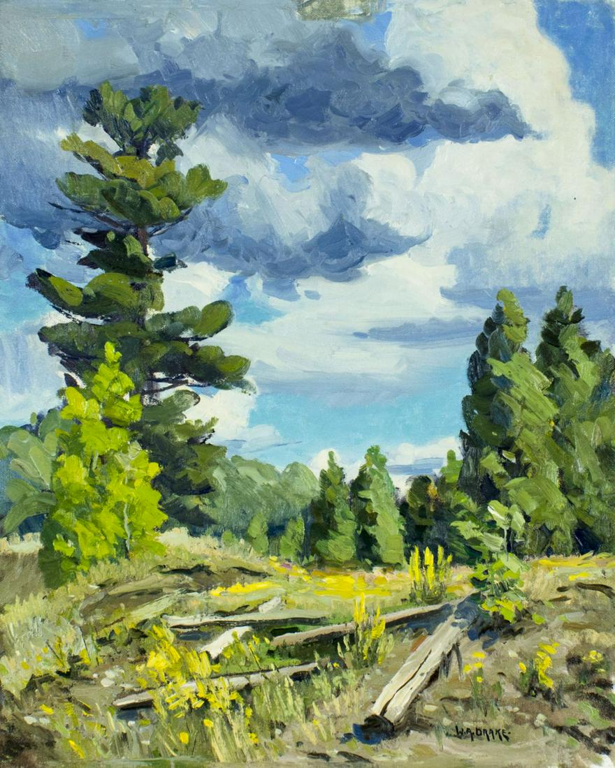 William A Drake (Canada,1891-1979) oil painting: ARTIST: William Alexander Drake (Canadian, 1891 - 1979) NAME: Landscape MEDIUM: oil on canvas board CONDITION: Very good. No visible inpaint under UV light. SIGHT SIZE: 20 x 16 inches / 50 x 40 cm FRA
