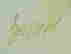item-126802708=4