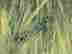item-126802740=4