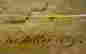 item-126802830=4