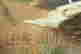 item-126802833=4