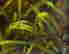 item-126802834=4