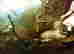 item-126802921=4