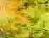item-126803122=4
