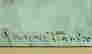 item-126803289=4