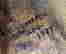 item-126803420=4