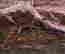 item-126803601=4