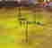 item-126803622=4