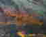 item-126803733=4