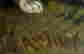 item-128360010=4