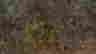 item-128360141=3