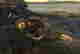 item-128360141=4