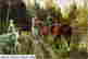 item-128360145=2
