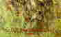 item-128360145=4