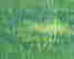 item-128360171=4