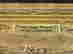 item-128360231=8