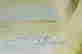 item-128360239=4