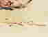 item-128360285=4