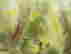 item-128360396=10