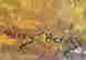 item-128360429=4
