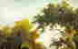 item-128360429=9