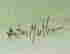 item-128360435=3