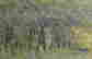 item-128360480=4