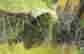 item-128360569=12