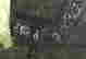 item-128360667=10