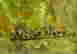 item-128360723=4